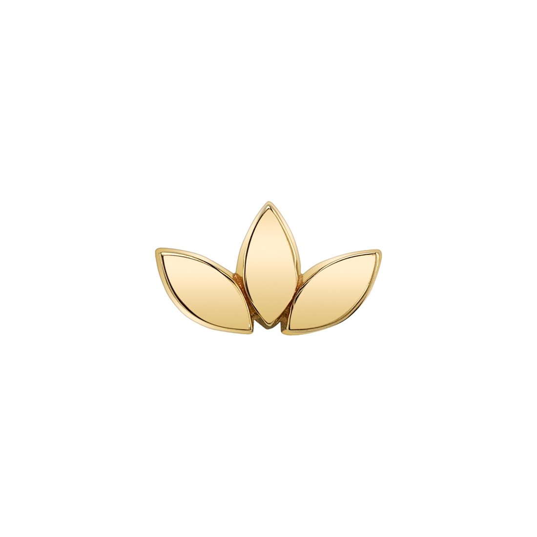 Flat Marquise Fan — 14k Yellow Gold — BVLA piercing jewellery