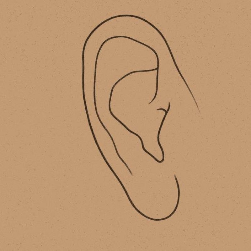 An ear drawn on kraft paper, the spots marked