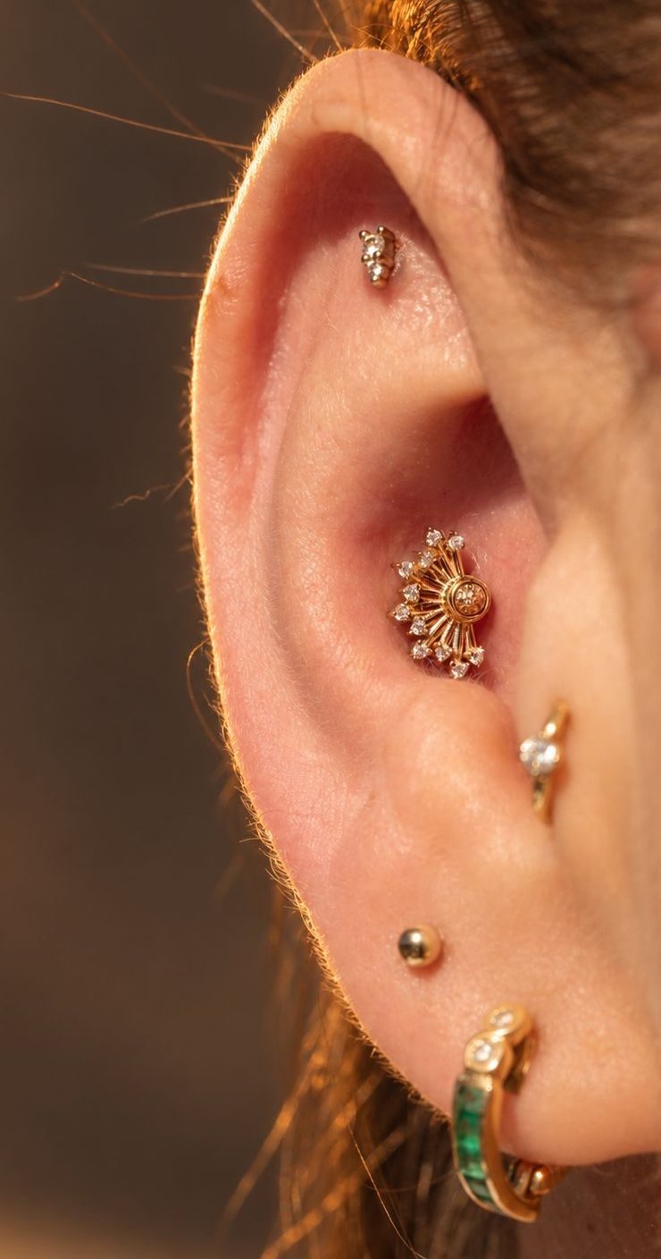 A healed ear wearing several gold pieces