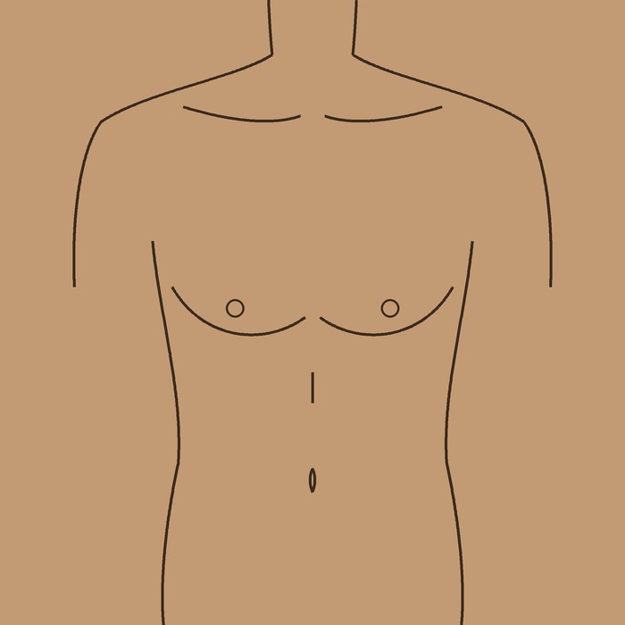 A line drawing of a torso with the places it can be pierced