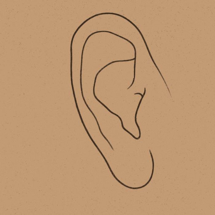 A drawing of an ear with the places it can be pierced